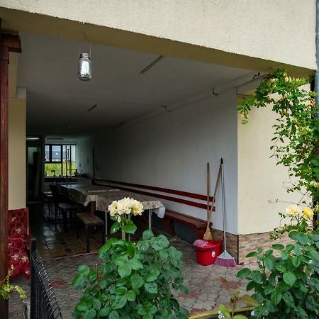 Pensiunea Elena Tasnad Exterior photo