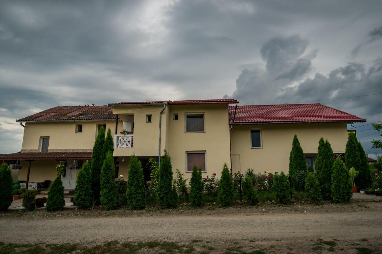 Pensiunea Elena Tasnad Exterior photo