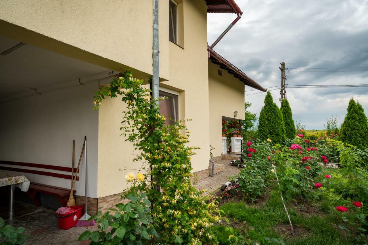 Pensiunea Elena Tasnad Exterior photo